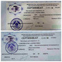 ОЛЬГА БОРИСОВНА СЕВЕРИН репетитор  по истории, обществоведению (ЧОГ) Минск